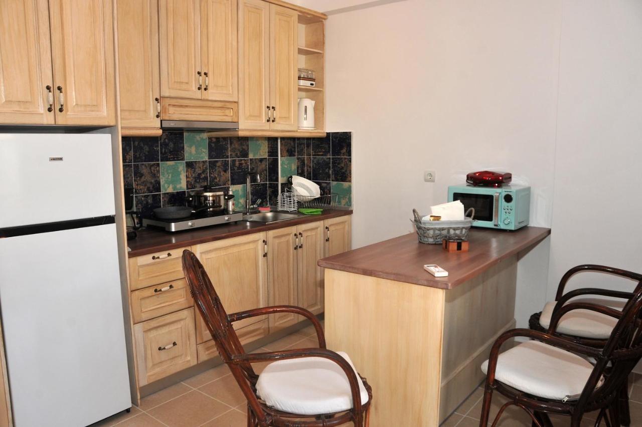 Apartament Dominique Meteora House *